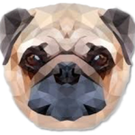 20 Dinge aus Marburg